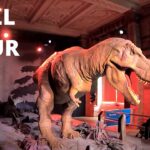 London WALK - Natural History Museum | FULL TOUR