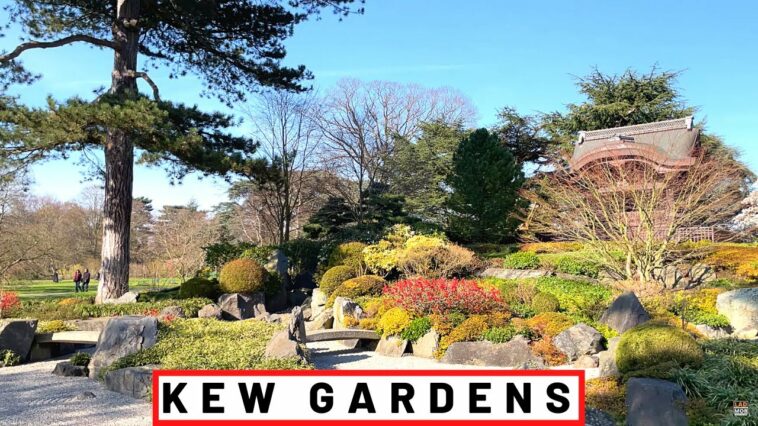KEW GARDENS - Royal Botanic Gardens [ part 1 ] | London Walk