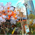 Canary wharf Crossrail Place Roof Garden | London Hidden Gems