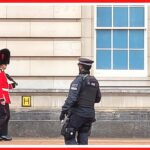 London Eye - Big Ben - Buckingham Palace - Wellington Arch and St James Park | London Walking Tour