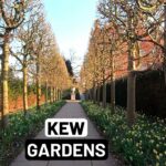 KEW GARDENS - London Royal Botanic Gardens [ part 2 ] | London Walk