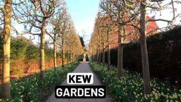 KEW GARDENS - London Royal Botanic Gardens [ part 2 ] | London Walk
