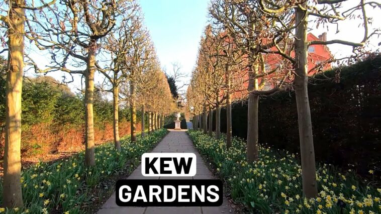 KEW GARDENS - London Royal Botanic Gardens [ part 2 ] | London Walk