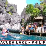 EXPLORING Barracuda Lake in Coron Palawan | PHILIPINES
