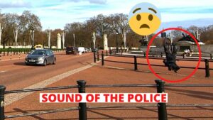 Is the SOUND of the POLICE | SUPER FUNNY