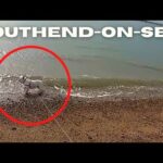 Walking in Southend - Bonnie first time to the sea