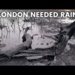 London Rain Walking tour in the Nature FIRST HEAVY RAIN AFTER SUMMER HEATWAVE 4K