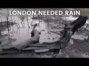 London Rain Walking tour in the Nature FIRST HEAVY RAIN AFTER SUMMER HEATWAVE 4K