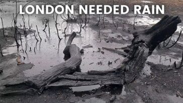 London Rain Walking tour in the Nature FIRST HEAVY RAIN AFTER SUMMER HEATWAVE 4K