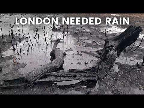 London Rain Walking tour in the Nature FIRST HEAVY RAIN AFTER SUMMER HEATWAVE 4K