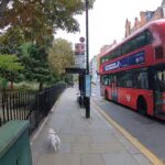 London walk Knightsbridge to Chelsea Bridge