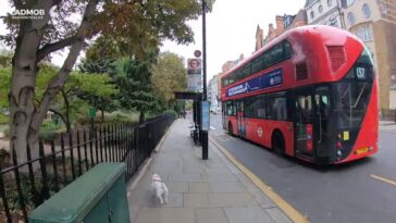 London walk Knightsbridge to Chelsea Bridge