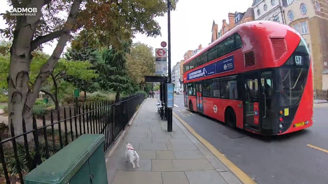 London walk Knightsbridge to Chelsea Bridge