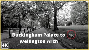 WALKING Tour Buckingham Palace to Wellington Arch