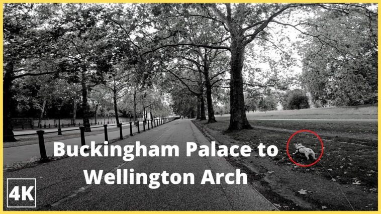 WALKING Tour Buckingham Palace to Wellington Arch